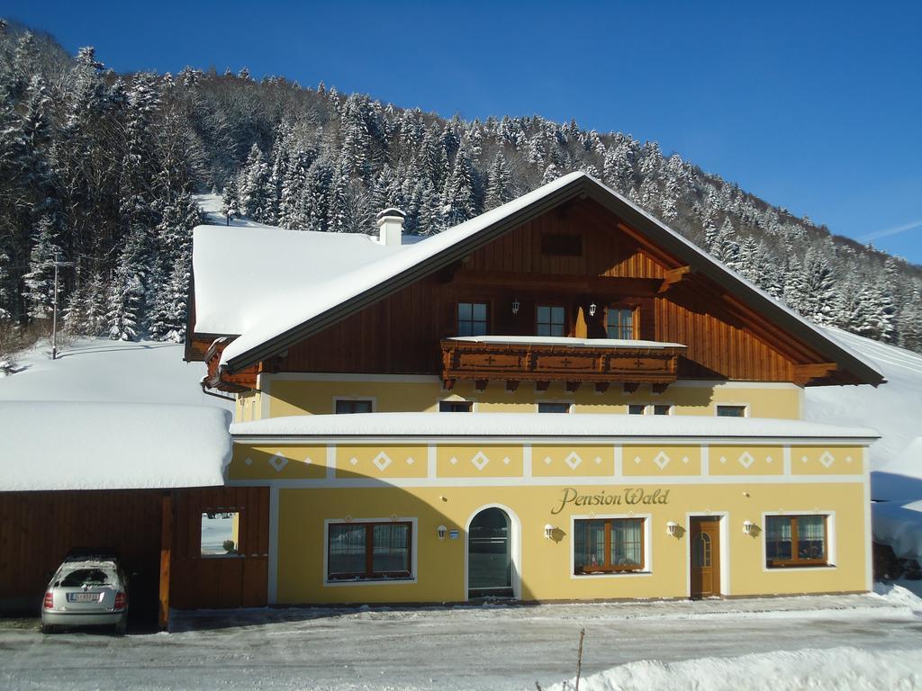 Pension Wald Файстенау Екстериор снимка