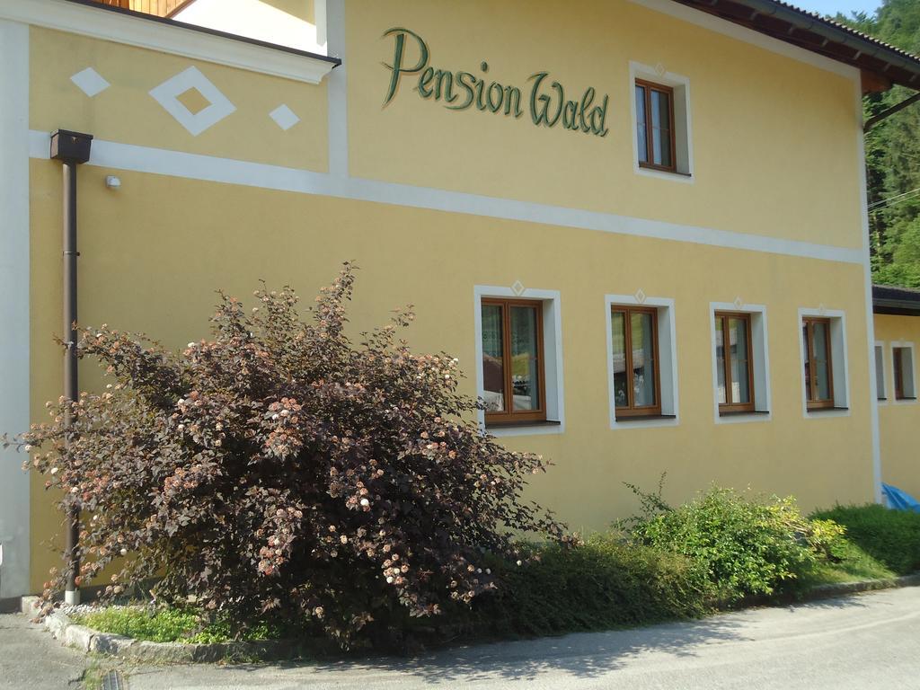 Pension Wald Файстенау Екстериор снимка