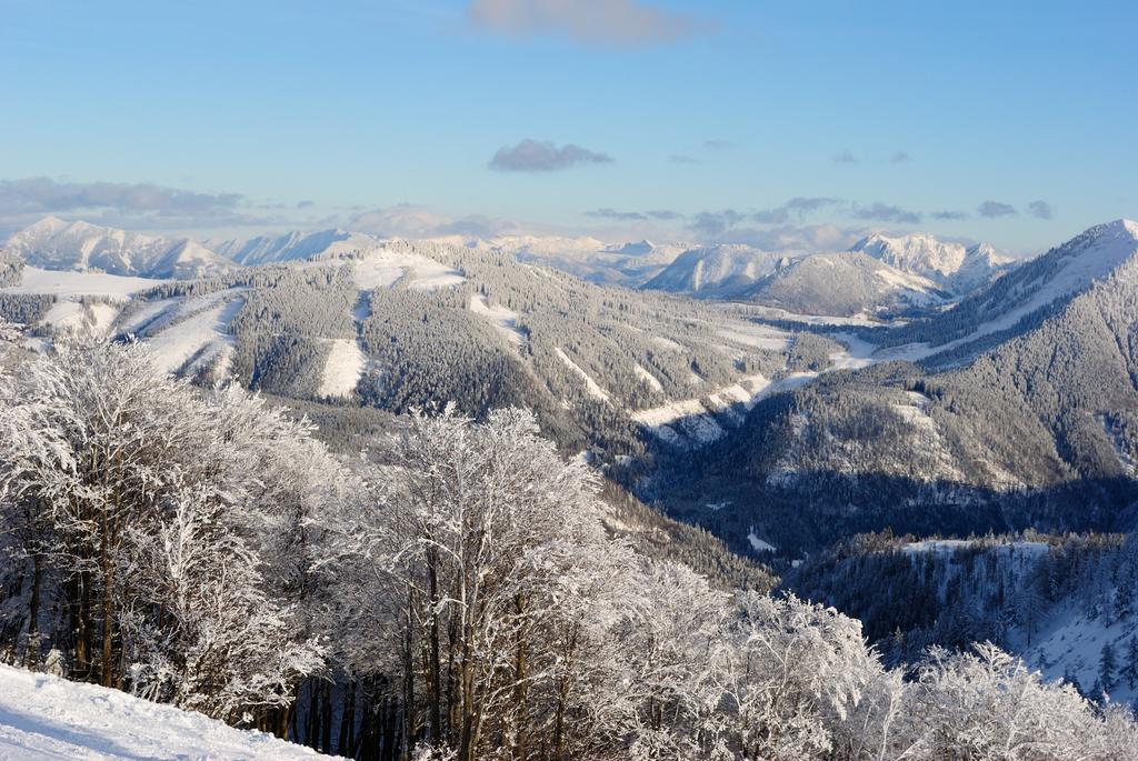 Pension Wald Файстенау Екстериор снимка