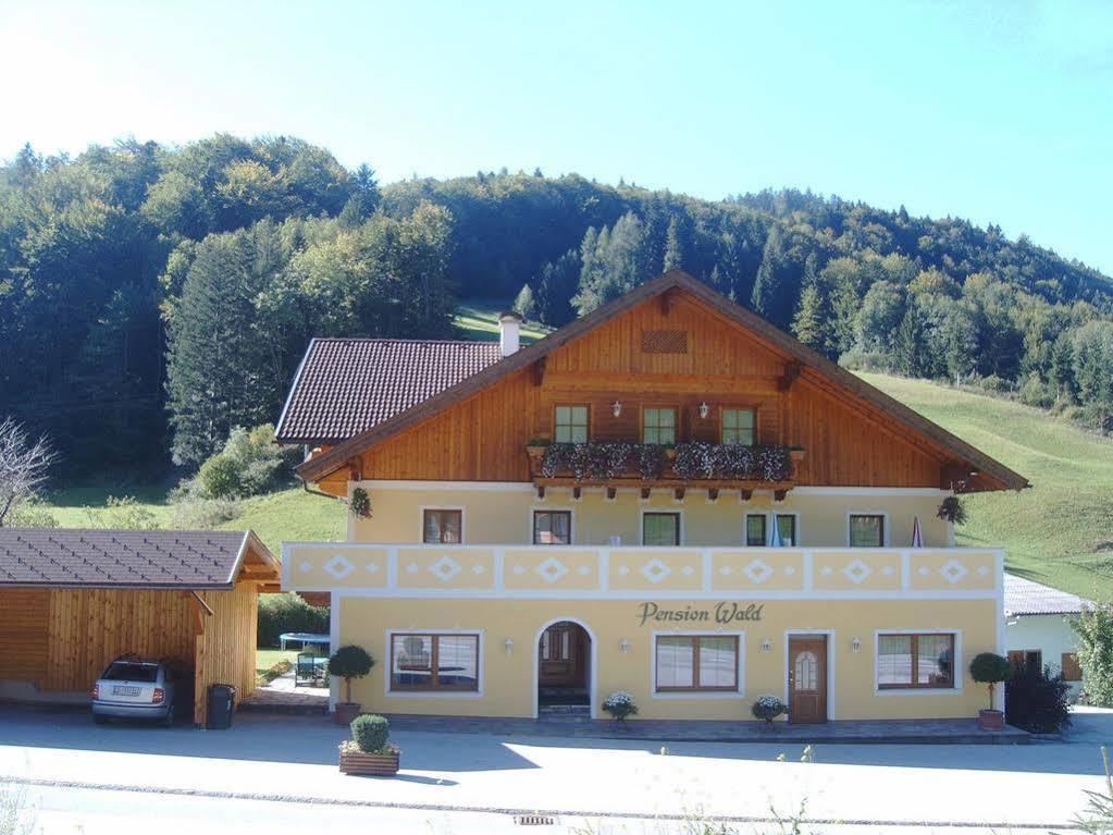 Pension Wald Файстенау Екстериор снимка
